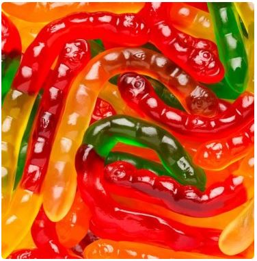 Fruity Gummy Worms - Taste Of The Rockies