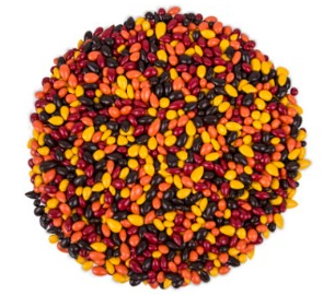 Fall Mix Chocolate Covered Sunflower Seeds