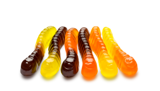 Fall Fruit Gummy Worms
