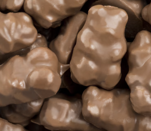 Chocolate Covered  Gummy Bears
