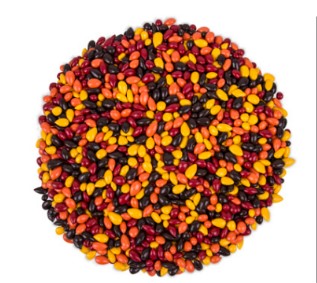 Chocolate Covered Sunflower Seeds