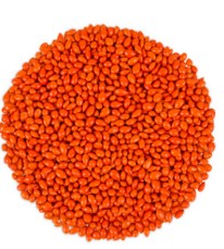 Chocolate Covered Sunflower Seeds