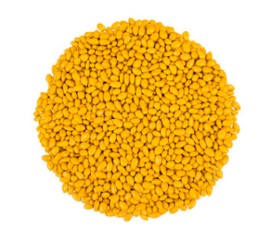 Bulk Chocolate Covered Sunflower Seeds
